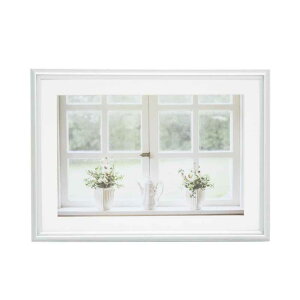 �t�W�J���[ �A���~�z�� YA-5 ���C�h6�؁i�V���o�[�j�i�O�ʔ�-PET�j YA-5-W6-SV FUJICOLOR