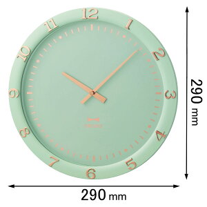 BRUNOiu[mj |v pXeEH[NbNiu[O[j BCW040-BGR [BCW040BGR]yԕiAz