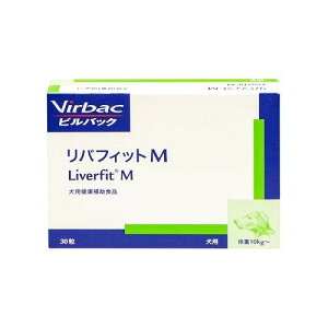 pTvg otBbg M p 30 ̑̌Nێ robNWp otCcgMCkE30cu