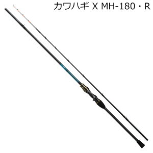 _C 20 JnM X MH-180ER 2{p 20JnMX MH-180ER DAIWA D