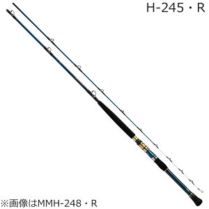 _C 21 SECƂ݁ER H-245ER 21 SECIgVR~ER H-245ER DAIWA D Ƃ