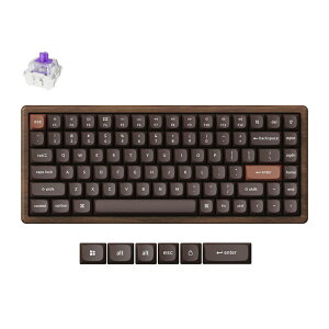 Keychron�b�L�[�N���� K2 HE �}�O�l�b�g�X�C�b�`���� ���C�����X�E�J�X�^���L�[�{�[�h�E�I�[���E�b�h�X�y�V�����G�f�B�V�����i�p��z�� �u���b�N�j K2H-F1W-US