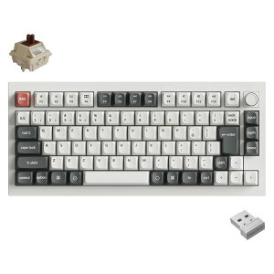 Keychron�b�L�[�N���� Q1 Ultra 8K ���C�����X�J�X�^�����J�j�J���L�[�{�[�h ���{��z��E���Ȉ󎚂Ȃ� Keychron Silk POM�X�C�b�` �����i�z���C�g�j Q1U-P3V-JIS