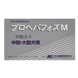 vwptHX M ^E^p 30 pN⏕Hi  vwptIXM