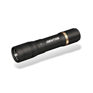 �W�F���g�X USB Type-C�[�d�� LED�����d�� 500���[���� RX-285R GENTOS [RX285RGENTOS]