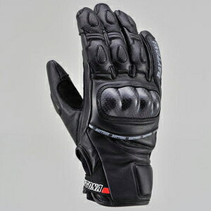 fCgi X|[cV[gO[uiubNEMj 99223 DAYTONA@HBG-036