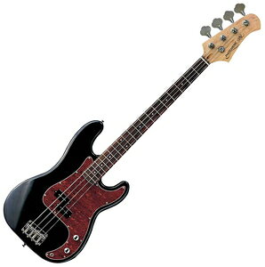 tHgWFjbN vVWx[X (ubN/xbRE) PB-240/BK/T3P PHOTOGENIC