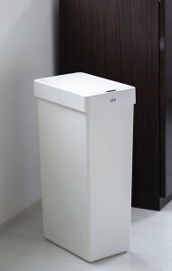 EKO JAPAN GbNXECOCg ZT[r (30LEzCg) EK6277P-30L-WH [EK6277P30LWH]