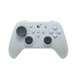 GuliKit(�O���L�b�g) �Q�[���R���g���[���[ TT MAX Controller�iWindows Switch1/2 Android iOS macOS ���g���j NS69R