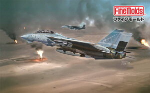 t@C[h 1/72 AJCR F-14A gLbg gpݐ푈hyFP53z vf