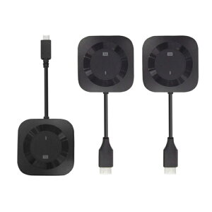 ���g�b�N�V�X�e�� ���C�����XHDMI���z����M�@�i1��2���z USB-C to HDMI�j RS-WLSP2