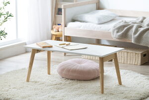 ACXI[} ܂݃Z^[e[u (i`/zCg) FCT-800i`/zCg IRIS [FCT800i`zCg]