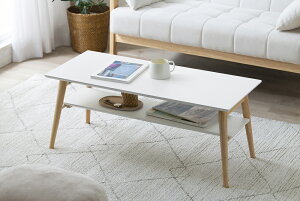 ACXI[} ܂݃Z^[e[u (i`/zCg ) FCT-900Ti`/zCg IRIS [FCT900Ti`zCg]