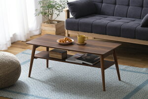 ACXI[} ܂݃Z^[e[u (EH[ibg ) FCT-900TEI-icg IRIS [FCT900TEIicg]