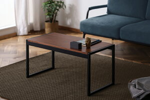 ACXI[} X`[t[Z^[e[u (EH[ibg) SFCT-800EI-icg IRIS [SFCT800EIicg]