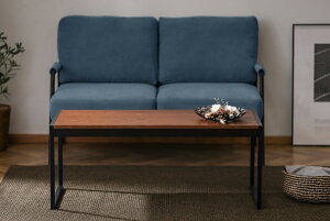 ACXI[} X`[t[Z^[e[u (EH[ibg) SFCT-1000EI-icg IRIS [SFCT1000EIicg]