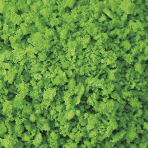 mS͌^nÐms GCP-01 OhJo[v O[