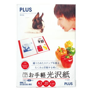 vX y򎆁mA3/20n PLUS@CNWFbgv^[p IT-142GE(46056)