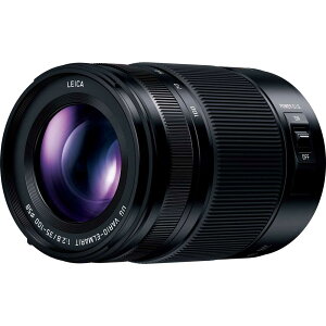 �p�i�\�j�b�N LEICA DG VARIO-ELMARIT 35-100mm / F2.8 / POWER O.I.S. H-ES35100