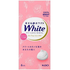 ԉΌzCg A}eBbN[Y̍ ʃTCY 6R ԉ JIEzCg -Y tcE6RnR