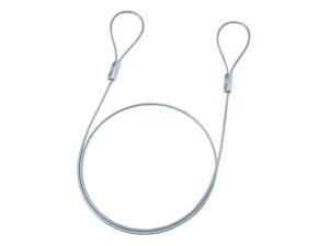 サンワサプライ eセキュリティ(ワイヤー、長さ1.0m・直径3.5mm) SLE-1W-1