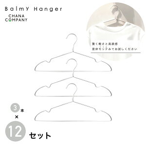 balmy hanger(�o���~�[�n���K�[) MOTTE 3�{ 12�Z�b�g(�V���o�[) TP-ECA01-42SLV-12ST MOTTE [TPECA0142SLV12ST]