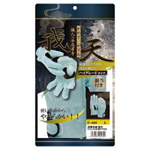 ӂ v V@}WbN~ Aet L K-493-L(I^tN)