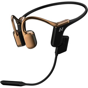 AVIOT ���`�����C�����X�w�b�h�z���i�u�����Y�S�[���h�j WB-E1M-GL Openpiece Elite