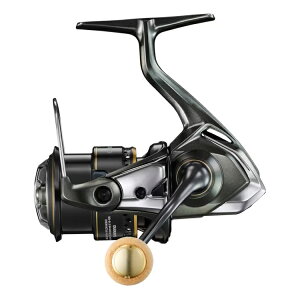 V}m 23 J[fBt XR C2000S 23J[fBtXR C2000S SHIMANO 23 CARDIFF XR