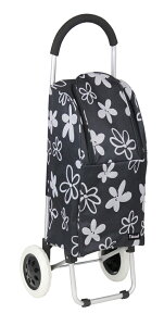 Ka쏊 VbsOJ[g (ԕubN) KOWA-008954 [KOWA008954]