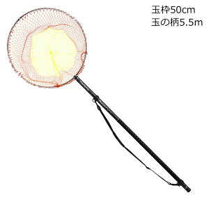 _C vOhʖ 50-55EW vOhC\^A~50-55EW DAIWA ^A~