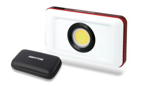 WFgX LED 1200[ GZ-316 WFgX Ganz@V[Y [GZ316]