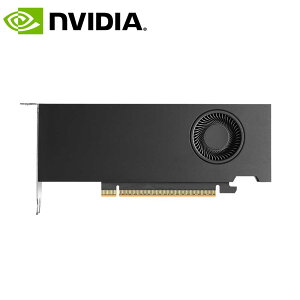 NVIDIA�b�G�k�r�f�B�A NVIDIA RTX PRO 2000 Blackwell (LP) Retail �O���t�B�b�N�{�[�h 900-5G195-2551-000