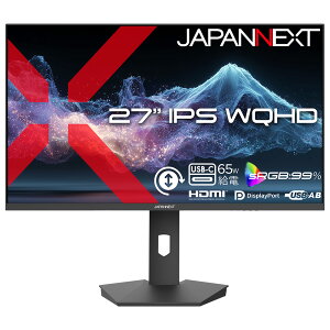 JAPANNEXT�b�W���p���l�N�X�g �t���f�B�X�v���C(27�^/IPS/WQHD 2560 × 1440/100Hz/14ms) JN-IPS27Q2-HSPC6