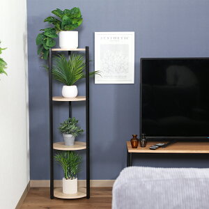 �s��f�� �f�B�X�v���C�X�^���h4�i (�u���b�N) 63773(�t�W�{�E�G�L) [63773�t�W�{�E�G�L]