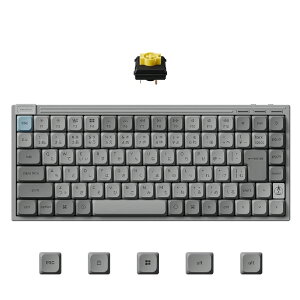 Keychron�b�L�[�N���� J9 ���C�����X�E���J�j�J���L�[�{�[�h ���{��z�� Keychron Milk POM �o�i�i���i�O���[�j J9-MH4-JIS