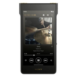 �\�j�[ �E�H�[�N�}�� WM1AM3 128GB NW-WM1AM3 SONY Walkman�@WM1�V���[�Y