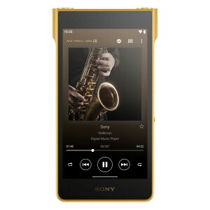 �\�j�[ �E�H�[�N�}�� WM1ZM3 256GB NW-WM1ZM3 SONY Walkman�@WM1�V���[�Y