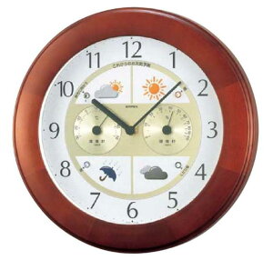 GybNX VCv EFU[p II CۑivEVC\ExExvj BW-5221 EMPEX [BW5221]