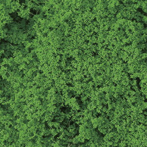 mS͌^nÐms LS-01 tς̑f O[