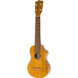 tFC}X \vmEN(OlbN^Cv) FLS-5GC FAMOUS