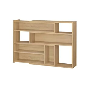 ACXI[} EbhXChbN(Cgi`) WSLR-800Cgi` IRIS [WSLR800Cgi`]