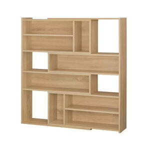 ACXI[} EbhXChbN(Cgi`) WSLR-1200Cgi` IRIS [WSLR1200Cgi`]