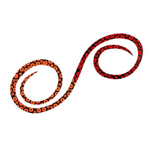 _C gVRlN^C 3D ߂J[[ 2{(IW+bh) REKVRlN^C 3D XMJ[[ 2zC(^RAVIW+bh) DAIWA lN^C