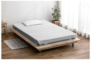 ACXI[} hV[c(CgO[EVO) FLS-TCST-SCgO- IRIS [FLSTCSTSCgO]