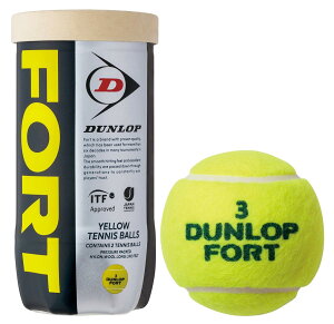 _bv dejX{[ DUNLOP FORT(_bv tH[g) 2{g DFFYL2TIN vbV[CYh