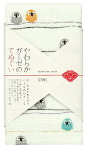 BACKYARD FAMILY(obN[ht@~[) 炩K[[̂Ăʂ(ӂ낤) BF019699-1A-2I [BF0196991A2I]