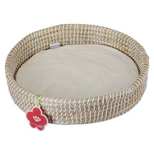 Lpi ɂ񂱂̂ ܂ۂ  hM[}nV jRm`OV-Y}IP