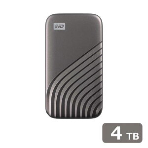 SanDisk ProfessionalbTfBXNvtFbVi USB 10GbpsiUSB 3.2 Gen2jΉ̍|[^uSSD 4TBiXy[XO[j WDBAGF0040BGY-JESN