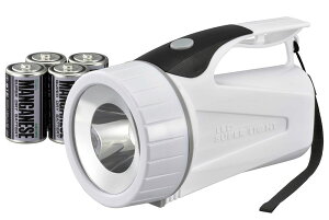 I[ LEDd100[ LPP-10B5 OHM LED̓Cg@08-0759 [LPP10B5]